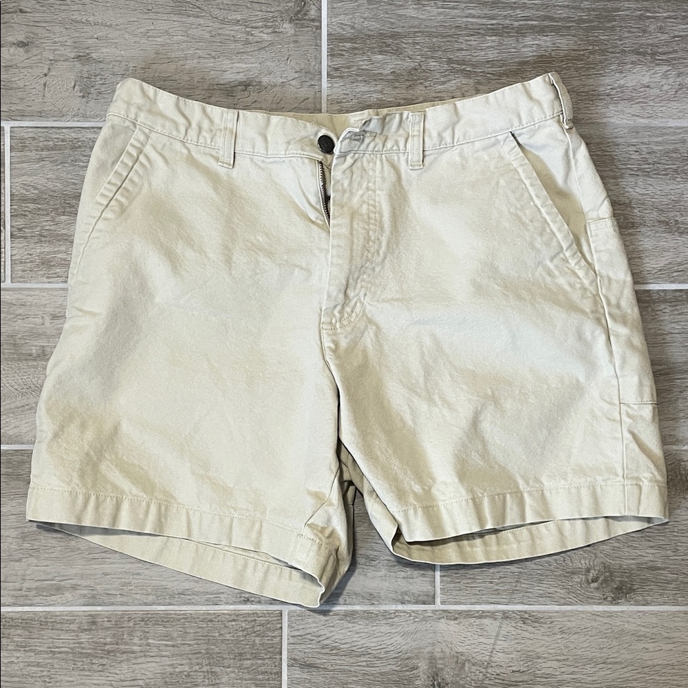 Patagonia Men's Cream Flat Front Shorts